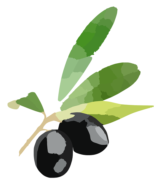 Sağlıklı Yaşam ve Zeytin Tüketimi Arasındaki Bağlantı