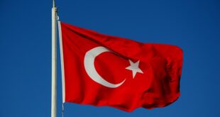Türkiye’nin Zeytinyağı Kalitesi Dünya Çapında Tanınıyor