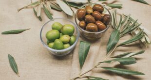 Zeytin Üretiminde Teknoloji Kullanımı Artıyor